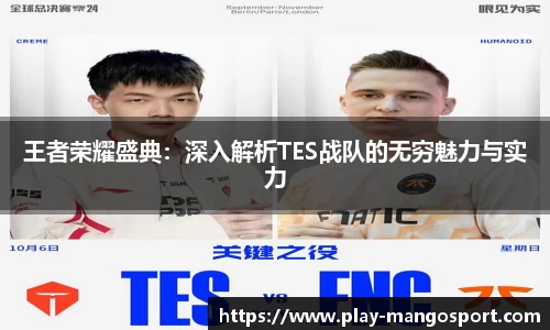 王者荣耀盛典：深入解析TES战队的无穷魅力与实力